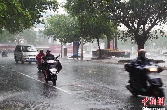 11月11日，广西北海街头，民众驾驶摩托车和汽车迎着强风暴雨出行。中新社发 冯抒敏 摄
