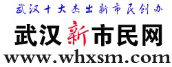 武汉新市民网