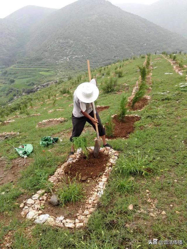 生态扶贫谱新篇——记活跃在唐尧大地上的脱贫攻坚造林专业队