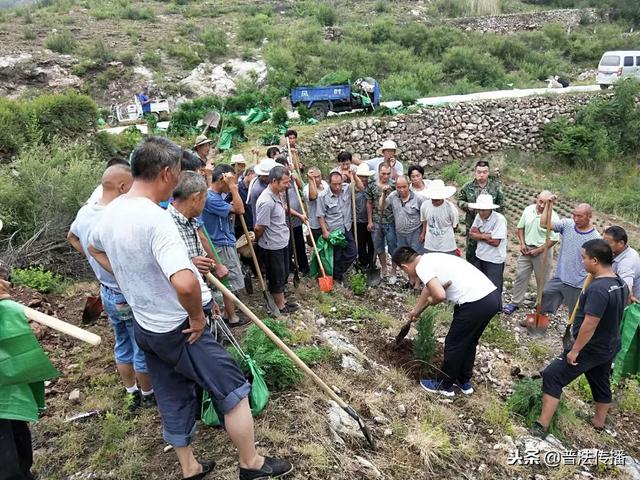 生态扶贫谱新篇——记活跃在唐尧大地上的脱贫攻坚造林专业队