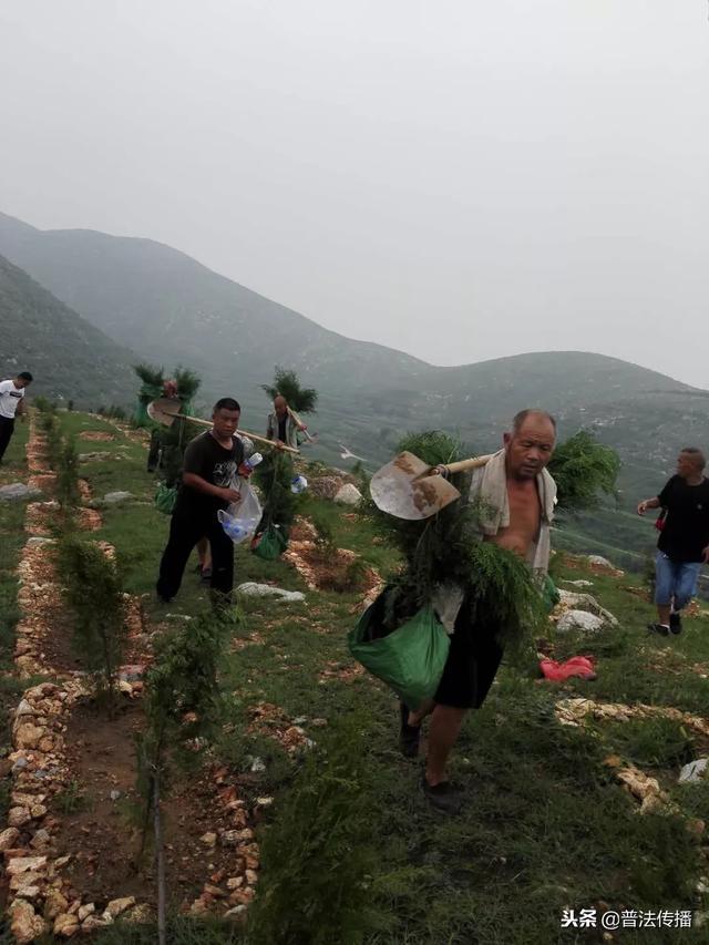 生态扶贫谱新篇——记活跃在唐尧大地上的脱贫攻坚造林专业队