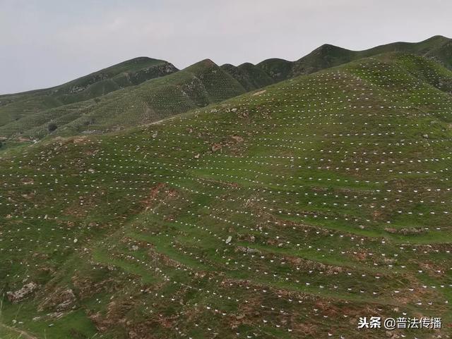 生态扶贫谱新篇——记活跃在唐尧大地上的脱贫攻坚造林专业队