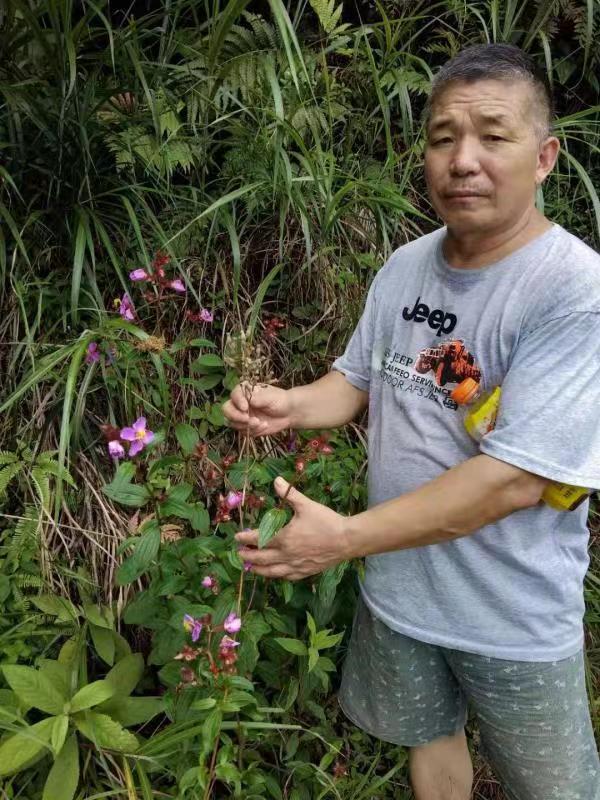 高级反射蜂疗专家范景良