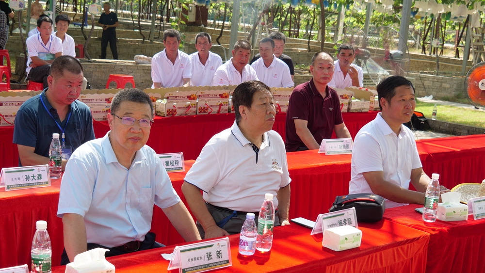 葡萄园里助农忙——碳氢核肥碳氢葡萄现场观摩会在福建福安象环村召开